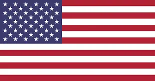 american flag-Picorivera