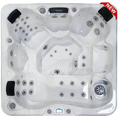 Avalon-X EC-849LX hot tubs for sale in Picorivera